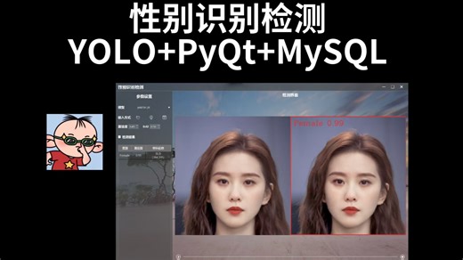 性别识别检测，YOLOv5/v8/11/12 PyQt MySQL
