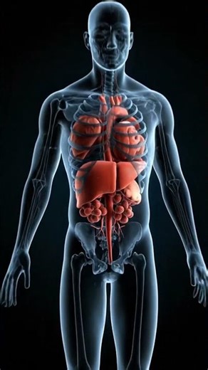 Tamarind (املی) khane se jism ke andar kya hota hai? | Medical 3D