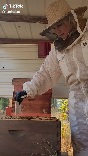 Formic Pro Mite Treatments for Bees