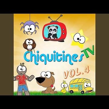 Pollito Chicken Gallina Hen