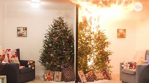 US Consumer Product Safety Commission PSA on dangers of not watering your Christmas tree