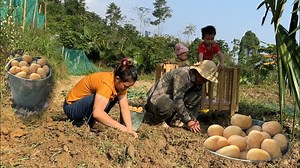 9.8K views · 488 reactions | First time growing potatoes and taking care of animals on the farm | Family Farm Life | Family Farm Life | Facebook