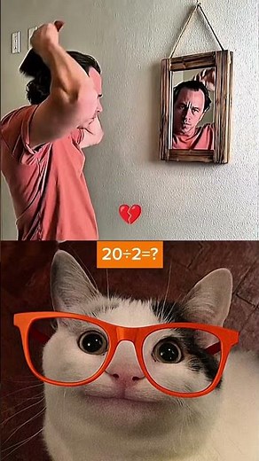 give this video title (warning answer) #cat #meme #dance #funny