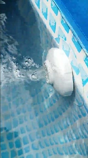 Intex c530 filter pump#intex