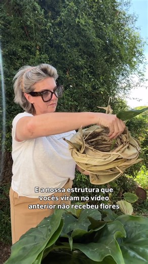 Deisi Tauffer🇦🇷🇧🇷 on Instagram: "🌿Essa estrutura não recebeu flores. Recebeu folhas, frutos e matéria viva da paisagem. 🌾Um buquê que nasce do ritmo da natureza, não da repetição. 🌱As folhas criam volume, direção e respiração. 🌳Os frutos trazem peso, tempo e maturidade. 🥰Nada aqui é decorativo: tudo sustenta, tudo comunica. Para concluir, uma trança de fórmio com fibra natural. Não como acabamento, mas como gesto. Trança que une força e delicadeza, técnica e instinto. Um fechamento que 