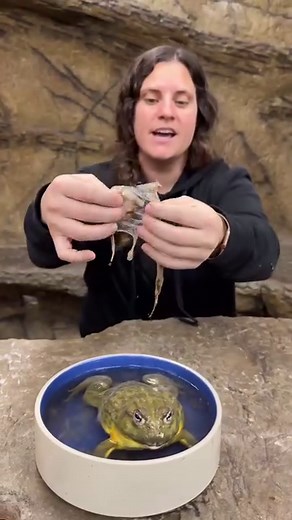 382K views · 3.7K reactions | Yup that’s a plastic that this Pixie...