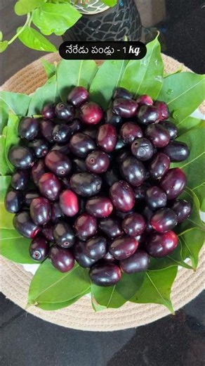 ✨ Homemade Black Jamun Jam🍞 #shorts #youtubeshorts #youtube #food #jamun #reels #trending #cooking