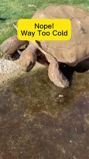 First Pool Soak of The Season