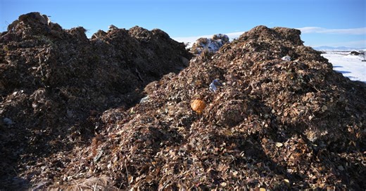 California fee on battery disposal goes into effect