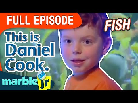 This is Daniel Cook - Season 2 - This is Daniel Cook setting up an aquarium.
