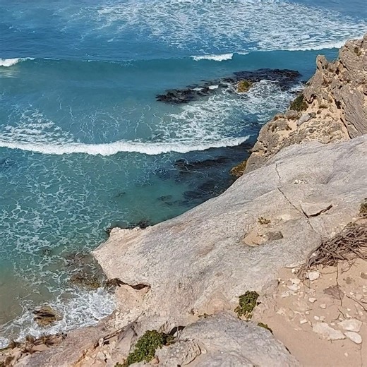 Emmy Silvius Photography on Instagram: "Eddy Bay along the South Coast Walk in Canunda NP where Peregrine Falcons have found a home in the gaps along the cliffs. #canundanationalpark #southaust"