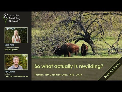 What exactly is rewilding?
