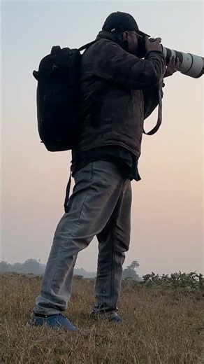 wild with me #wildlife #nature #elephant #sonyalpha #betlanationalpark #animals #trending #shorts