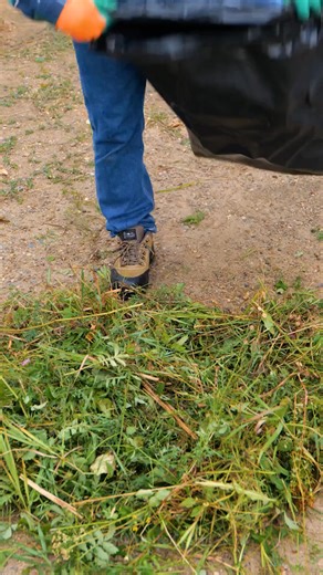 316K views · 1.1K reactions | Simple garden hacks that really work | 5-Minute Crafts | Facebook