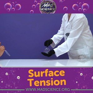 Ever wondered why bubbles are so round? It's all about surface tension! The molecules on the outside of a bubble cling together tightly, creating a strong 'skin'. This fascinating phenomenon is just one of many wonders waiting to be explored in the world of science. Let's inspire our children to become curious scientists and discover the amazing secrets of the universe. | Mad Science
