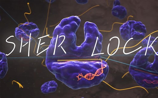 SHERLOCK: A CRISPR Tool to Detect Disease