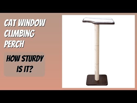 REVIEW (2025): Cat Window Climbing Perch. Features