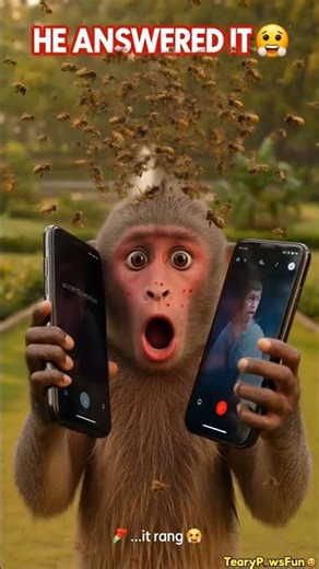 Monkey Stole A Phone For A Selfie — What Happened Next Is IMPOSSIBLE! 😂📱