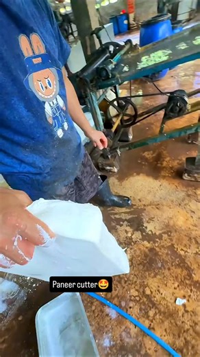 Easy Helping on Instagram: "Paneer cutter🤩 #instagood #viralreels #deshi #new"