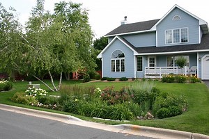Rain Gardens - Jersey-Friendly Yards