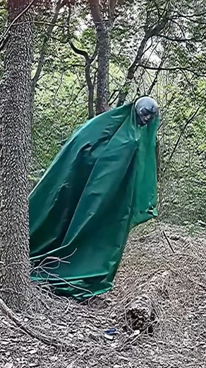 2.1K views | Just set up an electric fence hope that works #cctv #aliens #ufo #cows #farmlife | Artrabum | Facebook