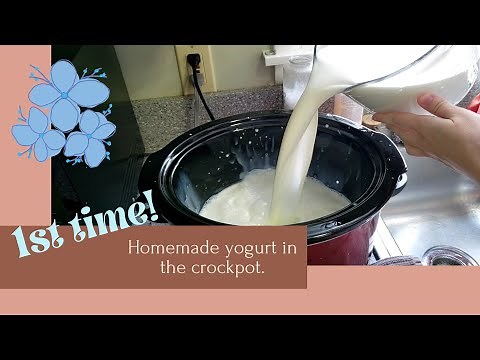1st time making homemade yogurt in the crockpot | slow cooker yogurt