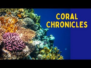 Ocean Plants, Under water life, Underwater plants, Science Learning Video for kids