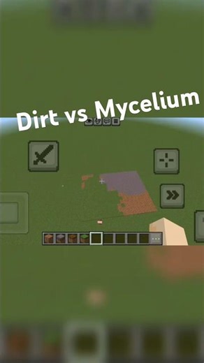 Minecraft Dirt vs Mycelium #minecraft #shorts