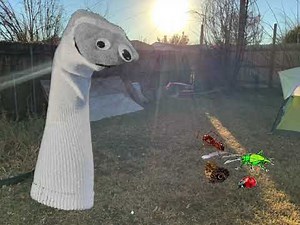 Sesame Street: What’s the Word on the Street - Insects