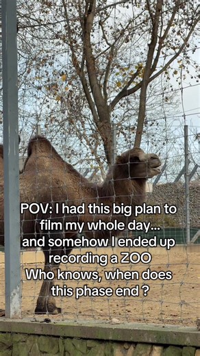 My aestic era is delayed😂. #contentcreator#funnyvideo#dailyvlog#pov#dayinmylife