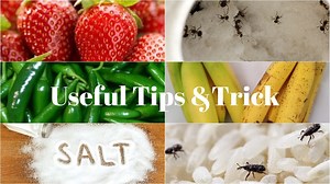 287K views · 410 reactions | Useful & Amazing Kitchen Tips & Tricks | बहुत ही जरूरी और उपयोगी किचन टिप्स Chocolate Biscuit cake https://youtu.be/mmnoW9WJ-HA 5 Easy&Quick Sandwich Recipe https://youtu.be/T5B7XP5X2Rs Chocolate mug Cake https://youtu.be/Q-PhSA7qb_U 2 Ingredient Chocolate Kulfi https://youtu.be/MImoX2yu4nI MUSIC CREDIT www.bensound.com | Sweet & Spicy | Facebook