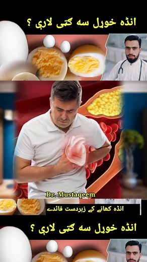 Everyday Eggs eating benefits in Pashto by Dr Mustaqeem Medical information and awareness Video #everyday #eggs #eating #Benefits #pashto #drmustaqeem #medical #information #awareness #videos | Dr. Mustaqeem