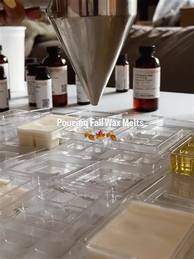 candlescience on Instagram: "Fall is in the air!🍁✨Watching makers pour seasonal scents into candles and wax melts has us feeling all of the cozy vibes! Which fall scent is your fave?"