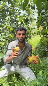 45K views · 14K reactions | Kerala TENKASI near total one aker land per cent 60,000 direct Owner ramtan fruits | Tenkasi LandPromoter | Facebook