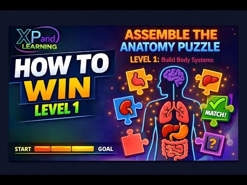 Anatomy Puzzle: Body Systems — Full Gameplay Walkthrough | Human Anatomy Game