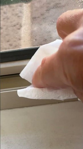 QUICK, EASY and NON-TOXIC way to get rid of flies in your kitchen.