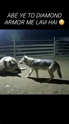 Galti se mistake hogyi 😂