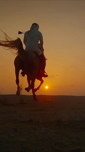 👏 ❗ Academy Award nominee Josh Brolin will narrate Horse Power, the new IMAX/Giant Screen documentary produced in partnership with AWHC 📽️ ✨ The feature-length film celebrates the extraordinary power of horses and their enduring bond with humanity. 🎬 Produced by Emmy Award–winning Plimsoll Productions (A Real Bug's Life, Super/Natural, Hostile Planet) and distributed worldwide, Horse Power takes audiences on a journey around the globe—from wild mustangs navigating the vast landscapes of Nevad
