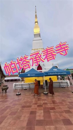 泰国沙功那空府帕塔承春寺建于17世纪#泰国佛教文化 #东南亚佛国风情 #创作者中心 #创作灵感