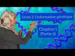 Unité 2: l’information génétique/chapitre 2/(partie 6) réplication de l’ADN/expérience de Taylor