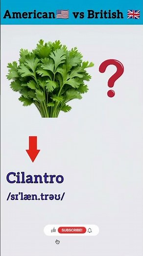 America vs Britain: Cilantro 🇺🇸 vs Coriander 🇬🇧