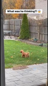 #fblifestyle | Machine Mike Pro