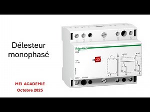Understanding the operation and connection of a 230V single-phase load shedding device