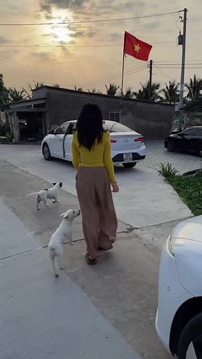 Dìa quê thôi, bật kèo kím độ nhẹo...😂 #tết2025 #vequeantet #mientay