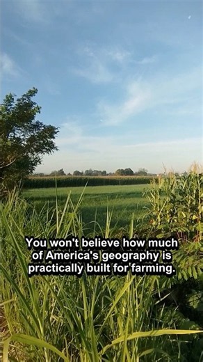 Why America Produces So Much Food