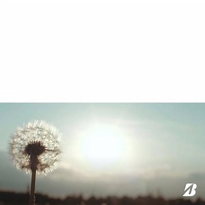 391K views · 196 reactions | Con il nuovo pneumatico Bridgestone Weather Control A005 potrai viaggiare in qualsiasi stagione con il massimo del controllo. Guarda il video per scoprire i suoi principali vantaggi. | Bridgestone | Facebook