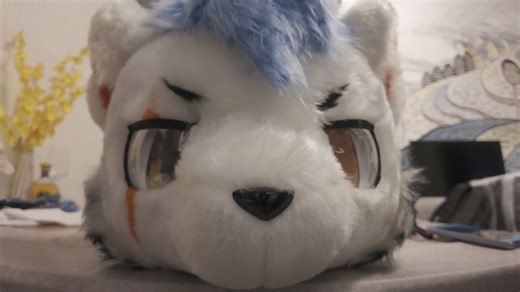 摇摆🐻‍❄️