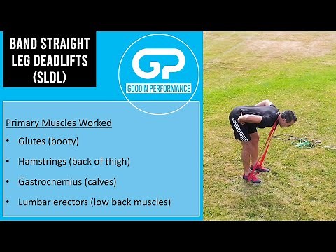 Band Straight Leg Deadlifts (SLDLs): Exercise Demonstration