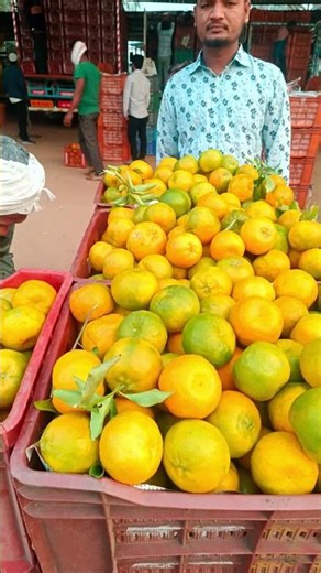 #today 27 December 2025 Rate 1,100 to 1,500 20kg Box