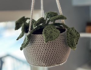 Large Pothos Crochet Hanging Basket | Handmade Boho Home Decor | Housewarming Plant Lovers Gift | Botanical Dorm Room Office | Amigurumi - Etsy Canada